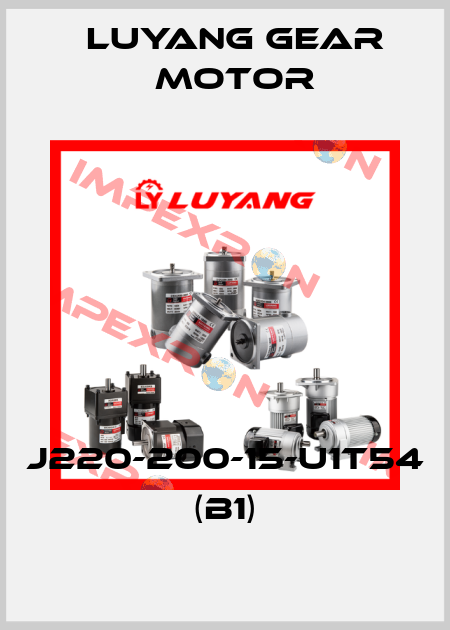 J220-200-15-U1T54 (B1) Luyang Gear Motor