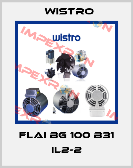 FLAI BG 100 B31 IL2-2 Wistro