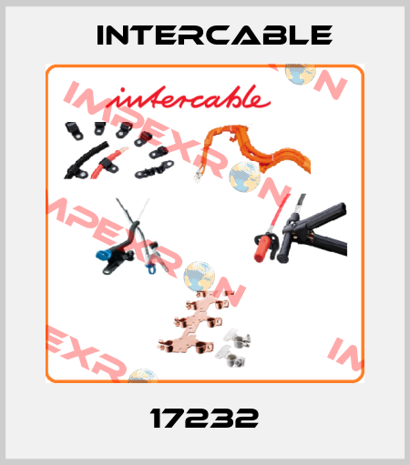 17232 Intercable