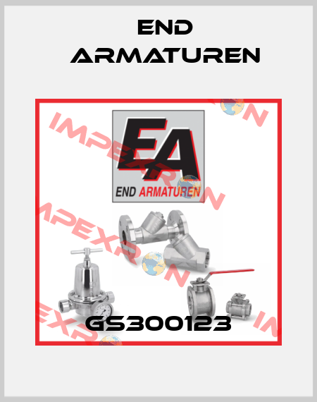 GS300123 End Armaturen