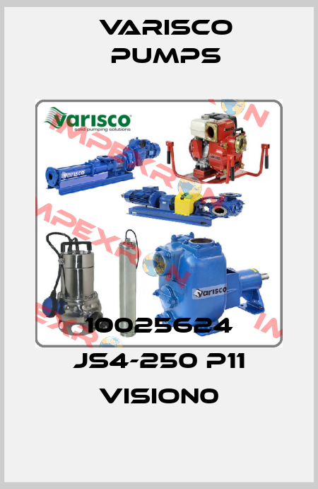 10025624 JS4-250 P11 VISION0 Varisco pumps