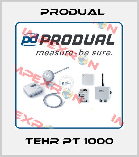 TEHR PT 1000 Produal