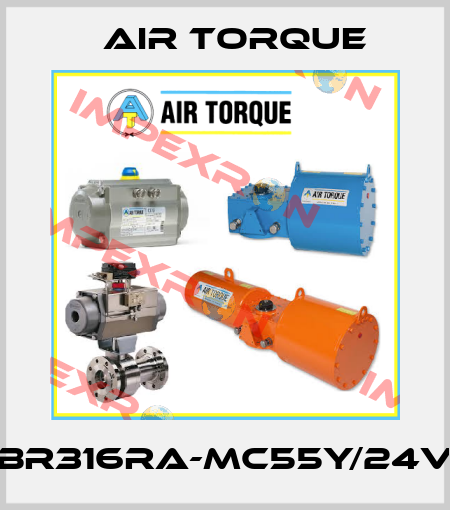 BR316RA-MC55Y/24V Air Torque