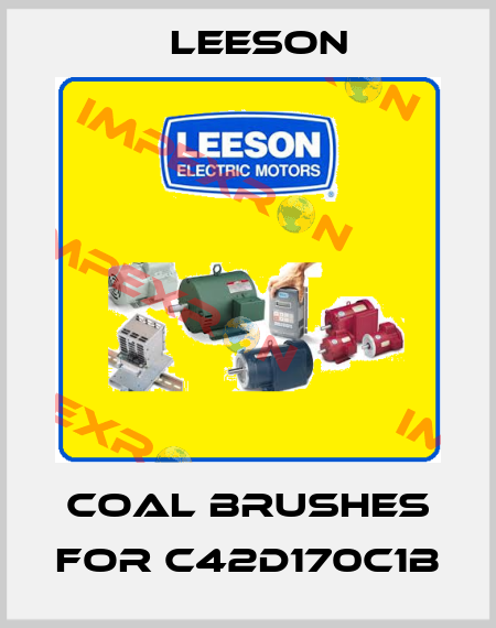 Coal brushes for C42D170C1B Leeson