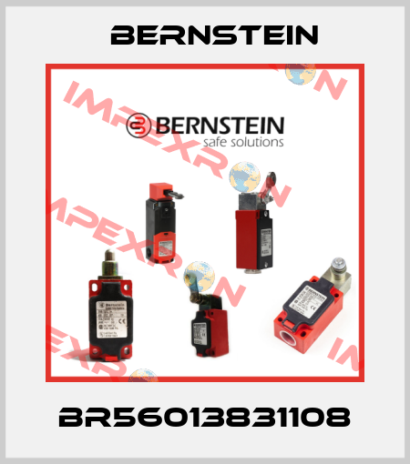 BR56013831108 Bernstein