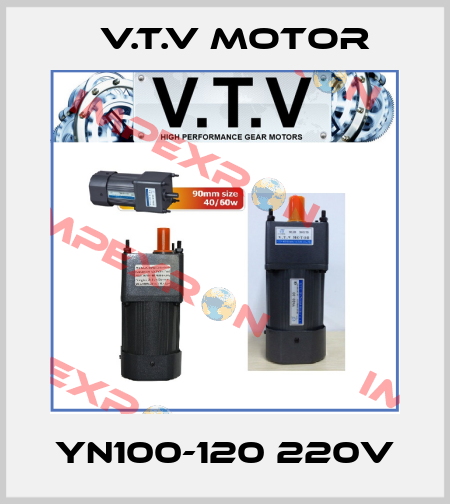 YN100-120 220V V.t.v Motor