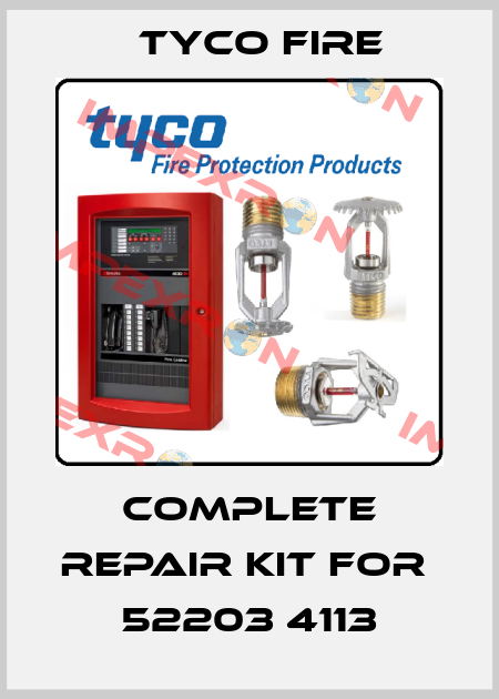 complete repair kit for  52203 4113 Tyco Fire