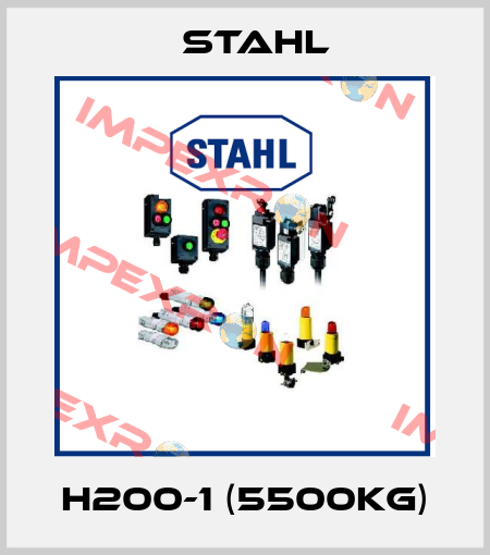 H200-1 (5500kg) Stahl