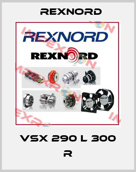 VSX 290 L 300 R Rexnord