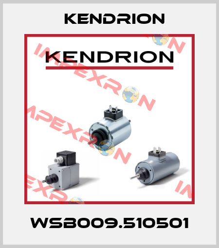WSB009.510501 Kendrion