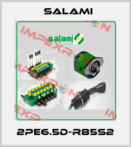2PE6.5D-R85S2 Salami
