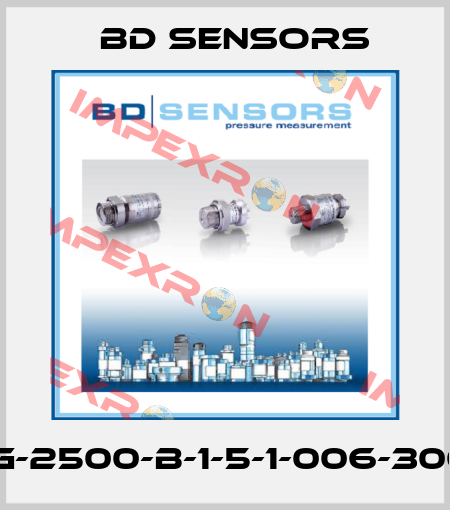 18.605G-2500-B-1-5-1-006-300-1-000 Bd Sensors