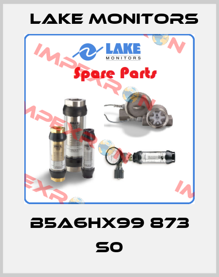 B5A6HX99 873 S0 Lake Monitors