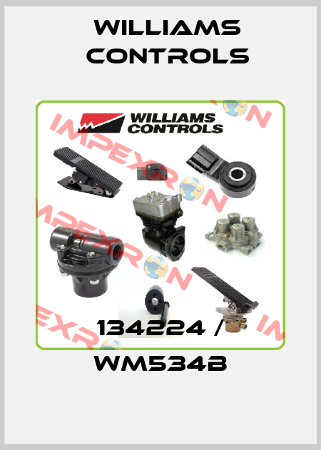 134224 / WM534B Williams Controls