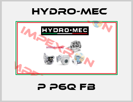 P P6Q FB Hydro-Mec