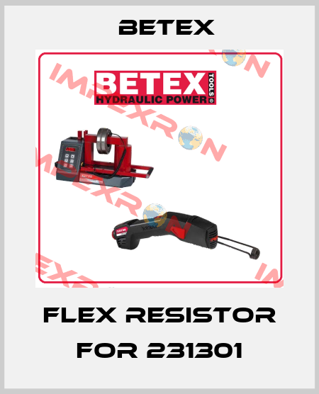 flex resistor for 231301 BETEX