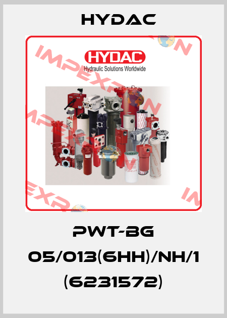 PWT-BG 05/013(6HH)/NH/1  (6231572) Hydac
