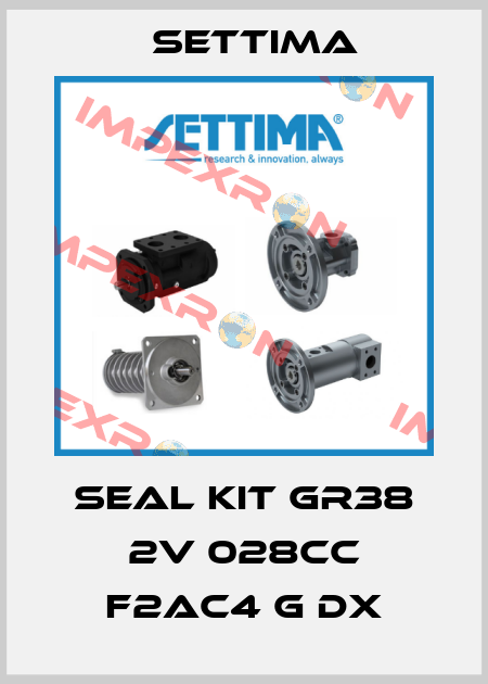 Seal Kit GR38 2V 028CC F2AC4 G DX Settima