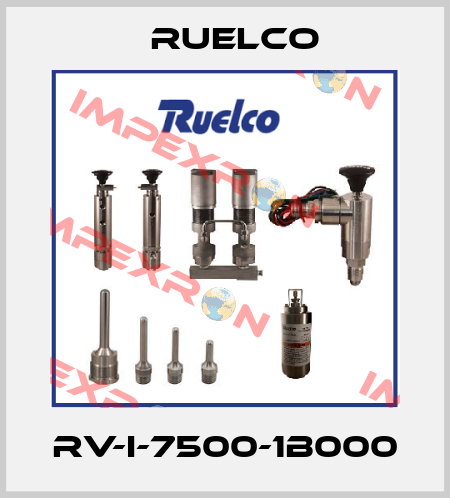 RV-I-7500-1B000 Ruelco