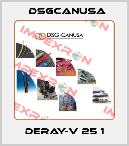 DERAY-V 25 1 Dsgcanusa