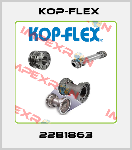 2281863 Kop-Flex