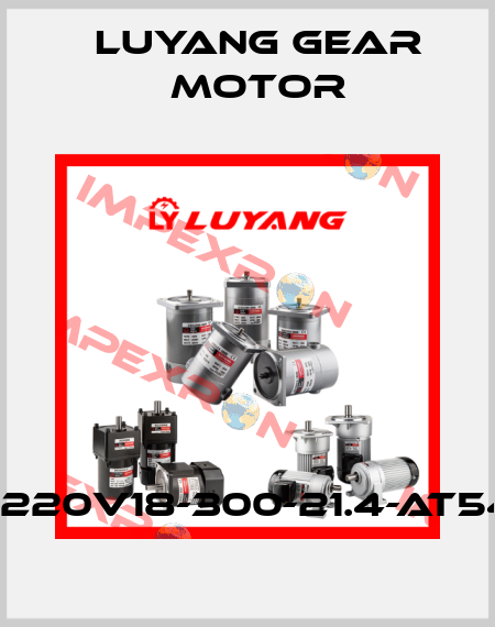J220V18-300-21.4-AT54 Luyang Gear Motor