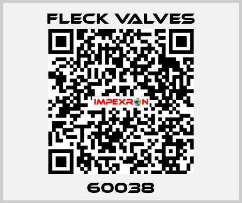 60038 Fleck Valves