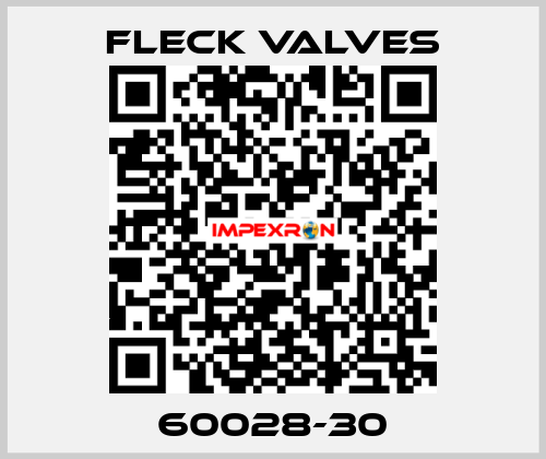 60028-30 Fleck Valves