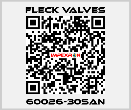 60026-30SAN Fleck Valves