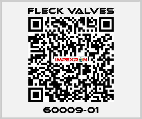60009-01 Fleck Valves