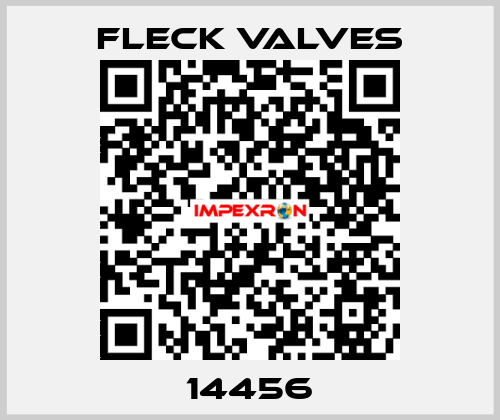 14456 Fleck Valves