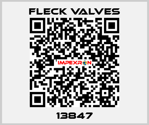 13847 Fleck Valves