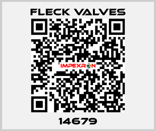 14679 Fleck Valves