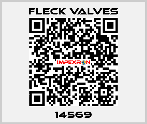14569 Fleck Valves