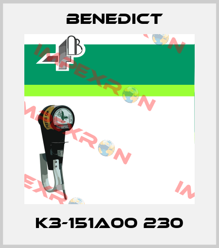 K3-151A00 230 Benedict
