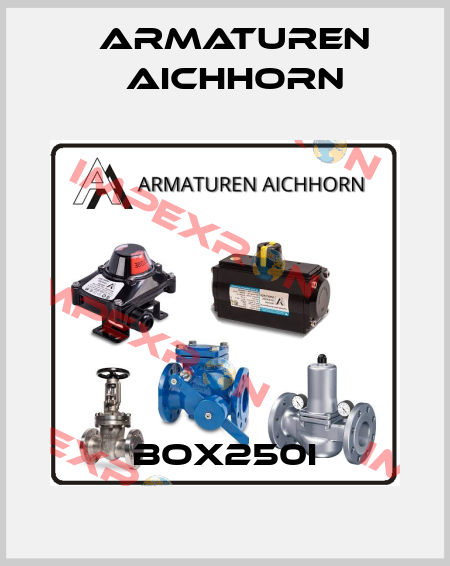 Box250I Armaturen Aichhorn