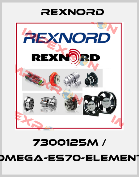 7300125M / OMEGA-ES70-ELEMENT Rexnord