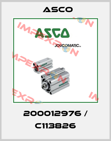200012976 / C113826 Asco