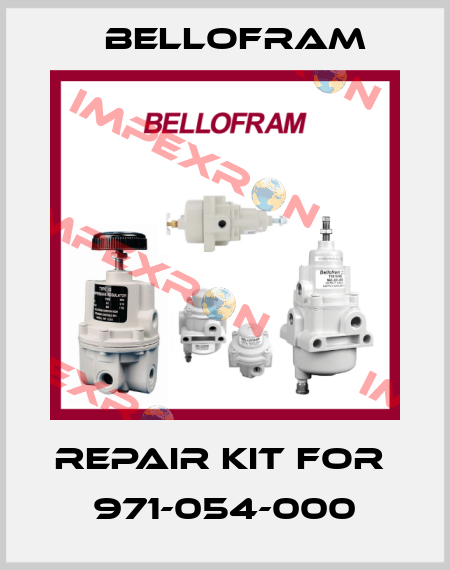 repair kit for  971-054-000 Bellofram