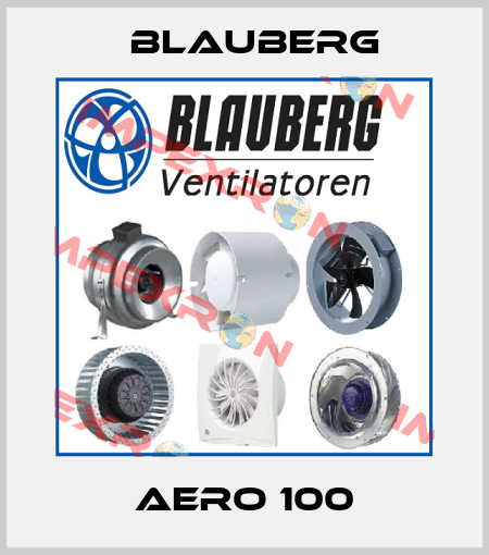 AERO 100 Blauberg
