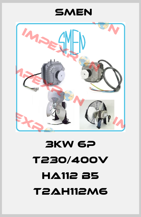3KW 6P T230/400V HA112 B5 T2AH112M6 Smen