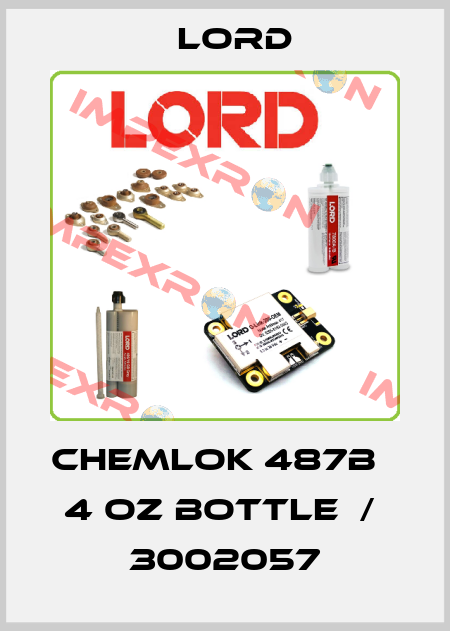 CHEMLOK 487B   4 OZ BOTTLE  /  3002057 Lord