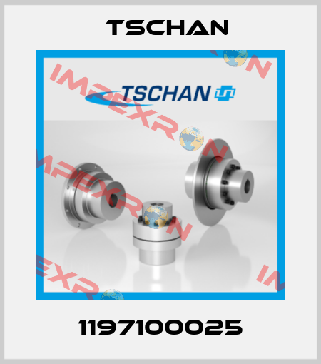 1197100025 Tschan
