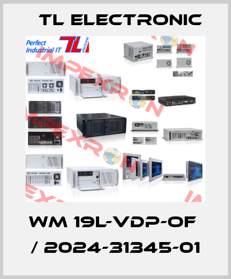 WM 19L-VDP-OF  / 2024-31345-01 TL Electronic