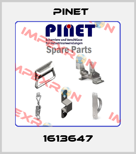 1613647 Pinet