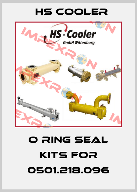 O Ring seal kits for 0501.218.096 HS Cooler
