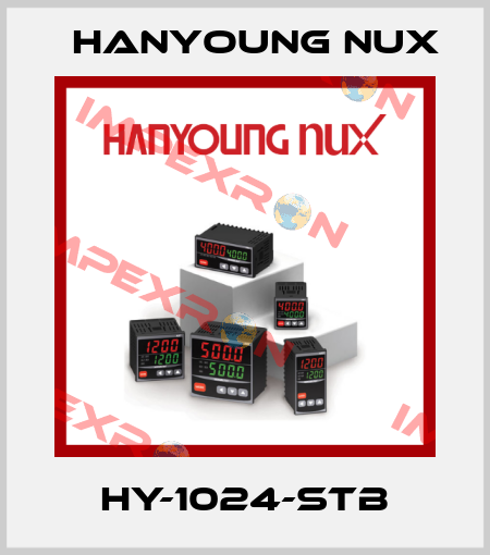 HY-1024-STB HanYoung NUX