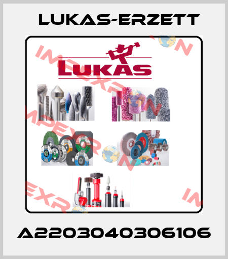 A2203040306106 Lukas-Erzett