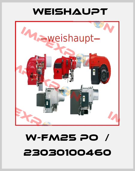 W-FM25 PO  / 23030100460 Weishaupt