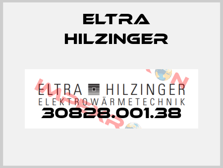 30828.001.38 ELTRA HILZINGER
